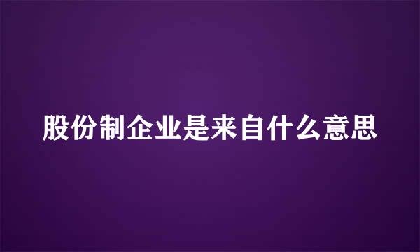 股份制企业是来自什么意思