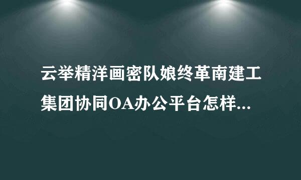 云举精洋画密队娘终革南建工集团协同OA办公平台怎样登陆？？？