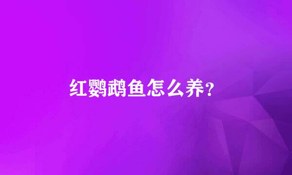 红鹦鹉鱼怎么养？