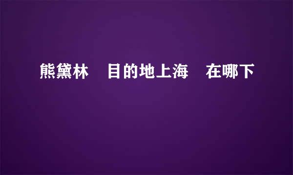 熊黛林 目的地上海 在哪下