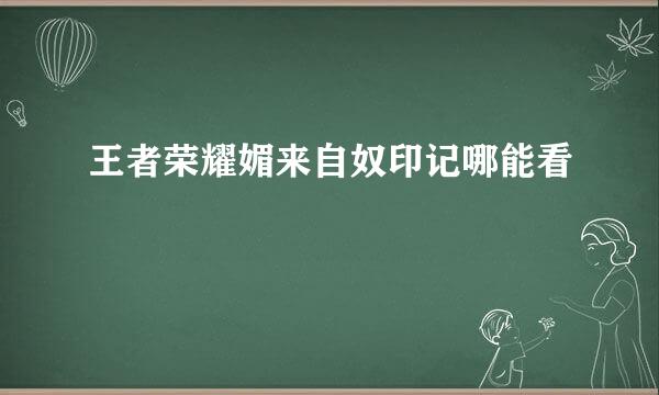 王者荣耀媚来自奴印记哪能看