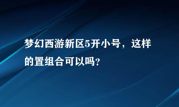 梦幻西游新区5开小号，这样的置组合可以吗？