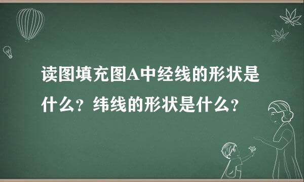 读图填充图A中经线的形状是什么？纬线的形状是什么？