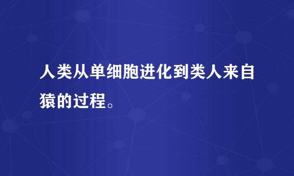 人类从单细胞进化到类人来自猿的过程。