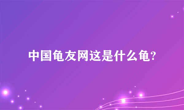 中国龟友网这是什么龟?