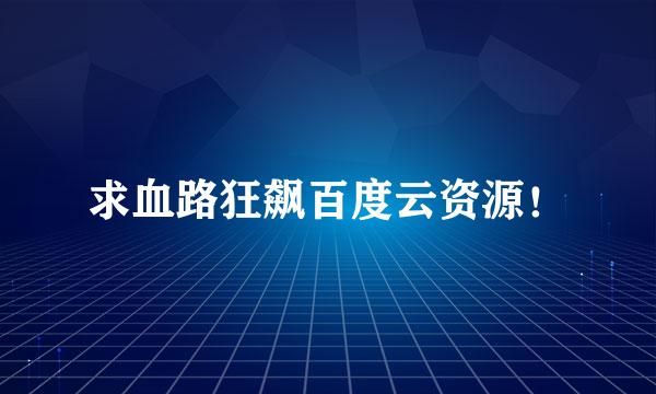 求血路狂飙百度云资源！