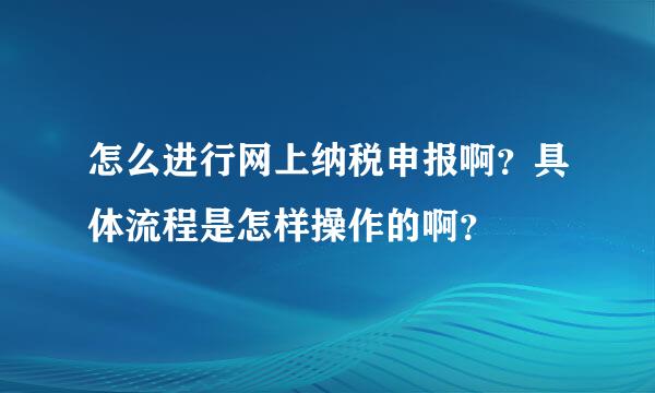 怎么进行网上纳税申报啊？具体流程是怎样操作的啊？