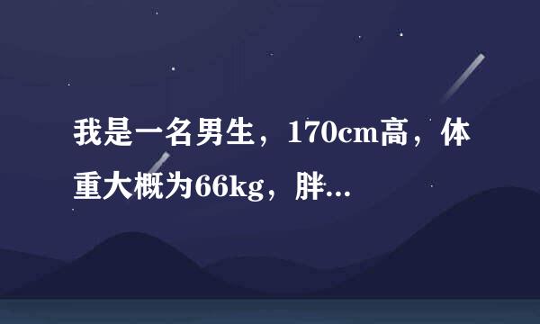 我是一名男生，170cm高，体重大概为66kg，胖吗?算标准吗?