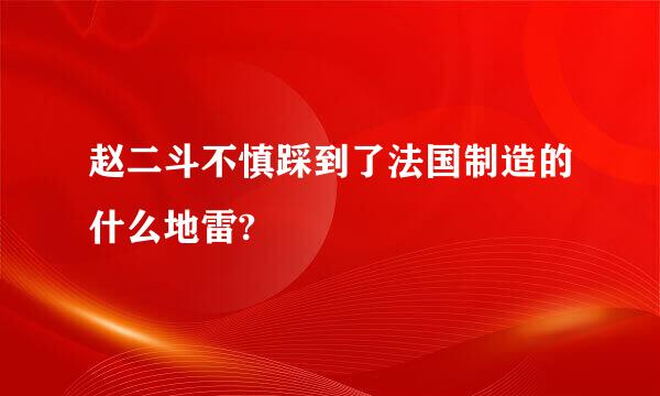 赵二斗不慎踩到了法国制造的什么地雷?