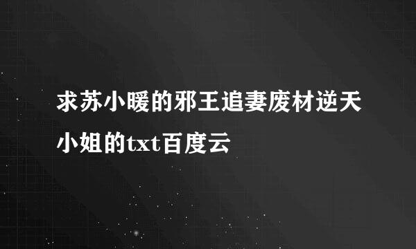 求苏小暖的邪王追妻废材逆天小姐的txt百度云