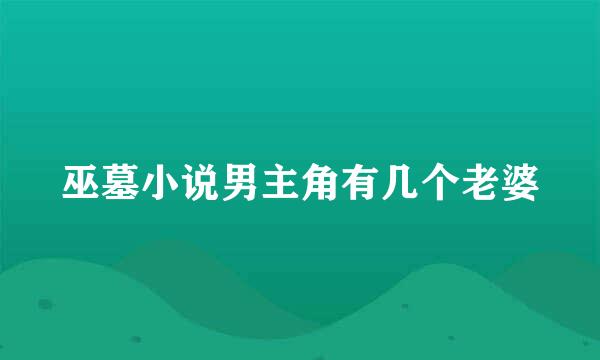 巫墓小说男主角有几个老婆