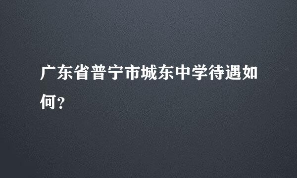 广东省普宁市城东中学待遇如何？