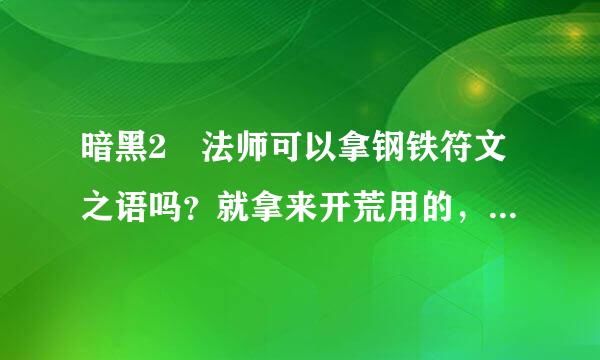 暗黑2 法师可以拿钢铁符文之语吗？就拿来开荒用的，怎么样？