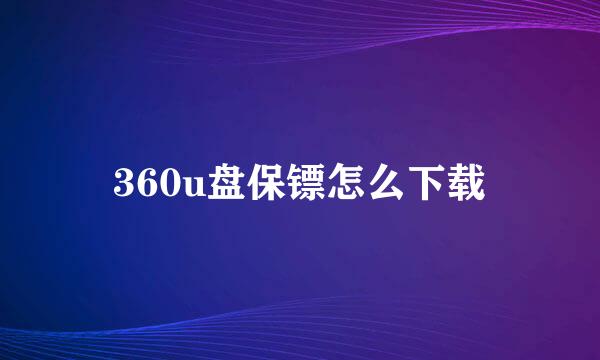 360u盘保镖怎么下载