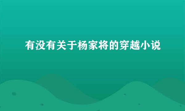 有没有关于杨家将的穿越小说