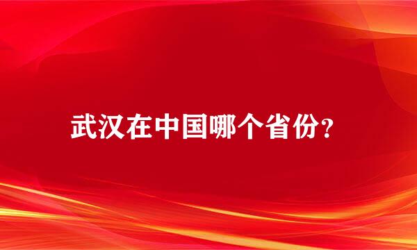 武汉在中国哪个省份？