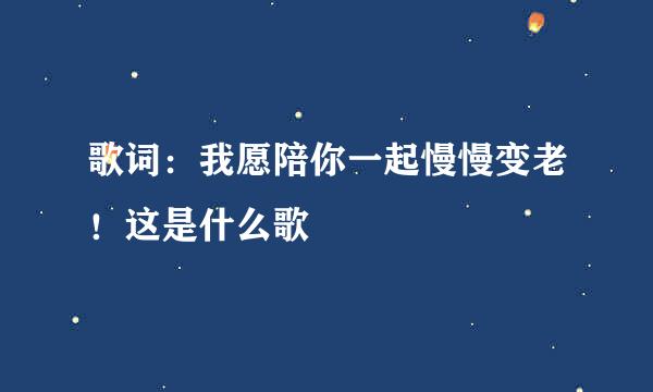 歌词：我愿陪你一起慢慢变老！这是什么歌