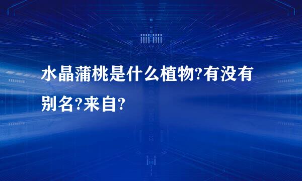 水晶蒲桃是什么植物?有没有别名?来自?