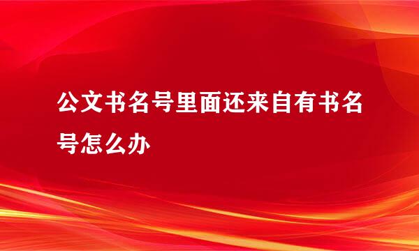 公文书名号里面还来自有书名号怎么办