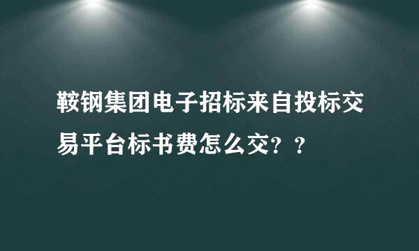 鞍钢集团电子招标来自投标交易平台标书费怎么交？？