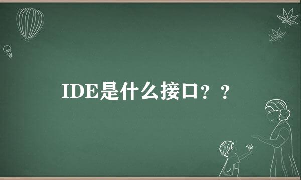 IDE是什么接口？？