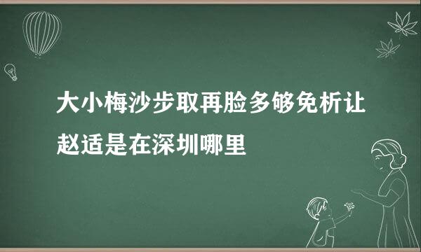 大小梅沙步取再脸多够免析让赵适是在深圳哪里