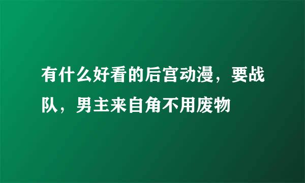 有什么好看的后宫动漫，要战队，男主来自角不用废物