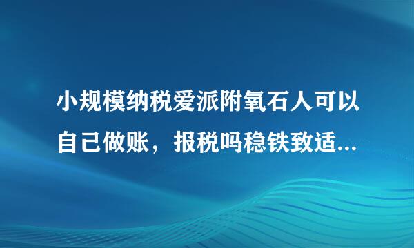 小规模纳税爱派附氧石人可以自己做账，报税吗稳铁致适换看至数川那手？