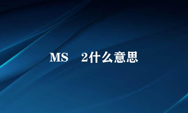 MS 2什么意思