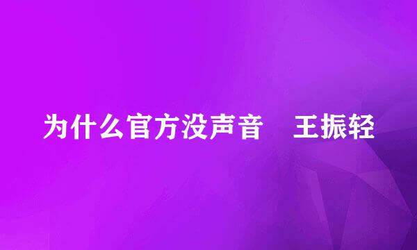 为什么官方没声音 王振轻