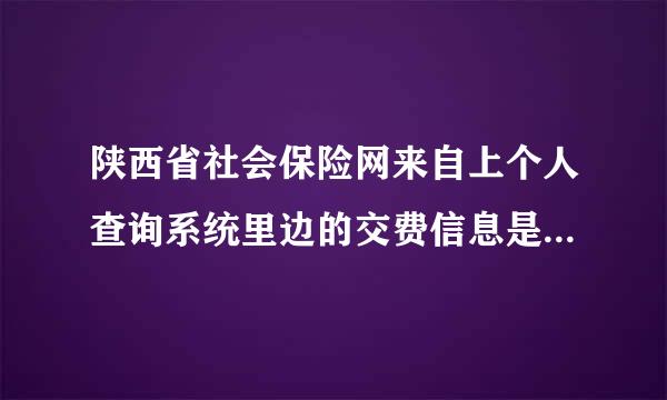 陕西省社会保险网来自上个人查询系统里边的交费信息是怎么看的？