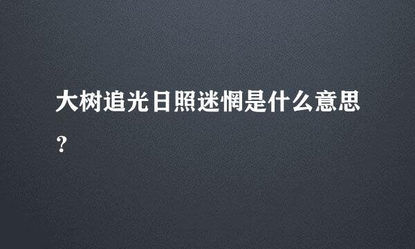 大树追光日照迷惘是什么意思？