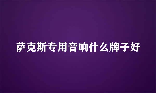 萨克斯专用音响什么牌子好