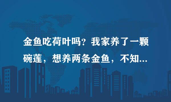 金鱼吃荷叶吗？我家养了一颗碗莲，想养两条金鱼，不知道金鱼吃不吃，如果吃，怎么制止？