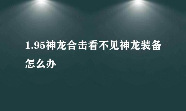 1.95神龙合击看不见神龙装备怎么办