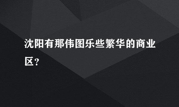 沈阳有那伟图乐些繁华的商业区？