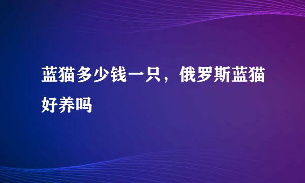 蓝猫多少钱一只，俄罗斯蓝猫好养吗