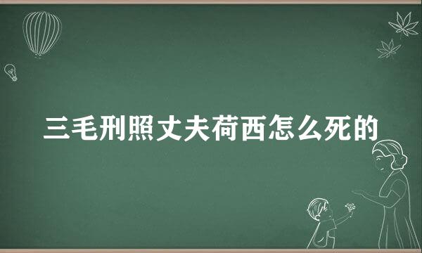 三毛刑照丈夫荷西怎么死的