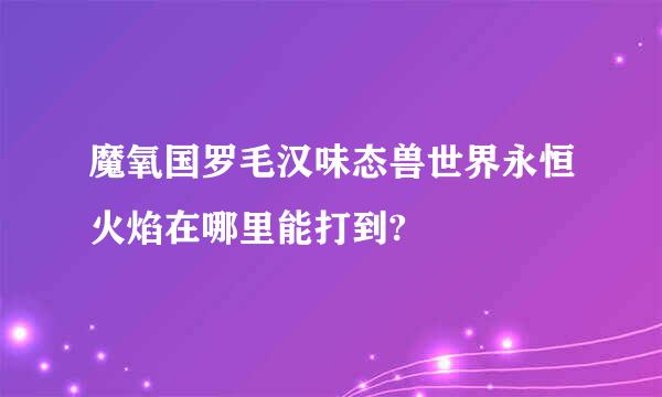 魔氧国罗毛汉味态兽世界永恒火焰在哪里能打到?