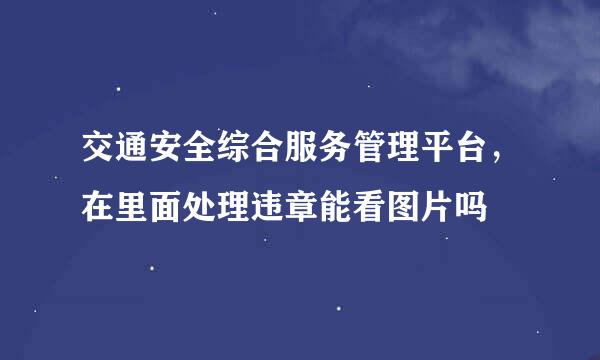 交通安全综合服务管理平台，在里面处理违章能看图片吗