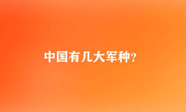 中国有几大军种？