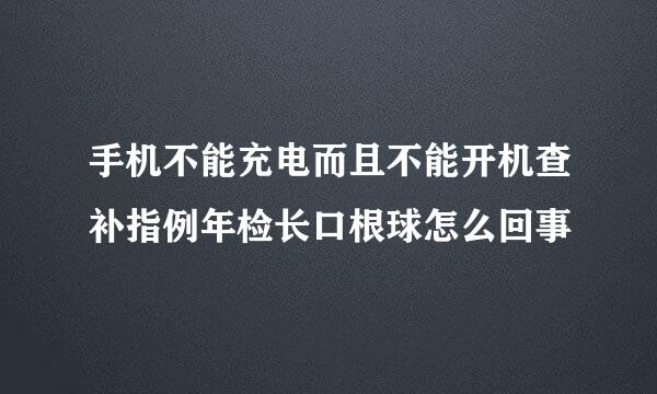 手机不能充电而且不能开机查补指例年检长口根球怎么回事