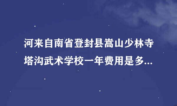 河来自南省登封县嵩山少林寺塔沟武术学校一年费用是多少？学散打。 学几年给发中专证书呢？适思威伯面举宽款据爱