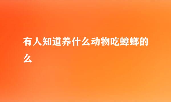 有人知道养什么动物吃蟑螂的么