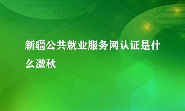 新疆公共就业服务网认证是什么激秋