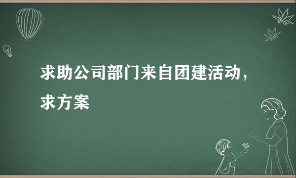 求助公司部门来自团建活动，求方案