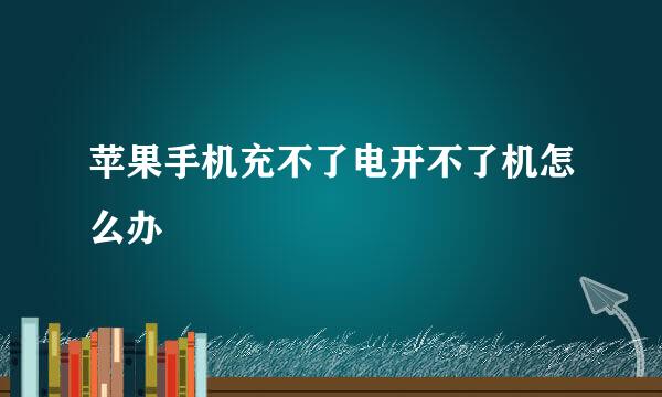 苹果手机充不了电开不了机怎么办