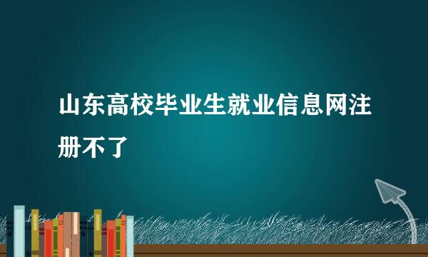 山东高校毕业生就业信息网注册不了