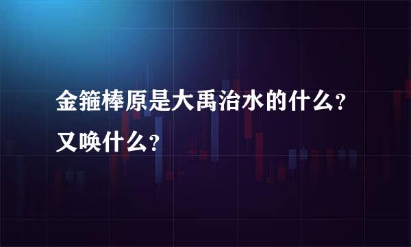 金箍棒原是大禹治水的什么？又唤什么？