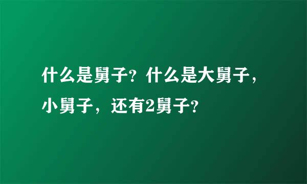 什么是舅子？什么是大舅子，小舅子，还有2舅子？